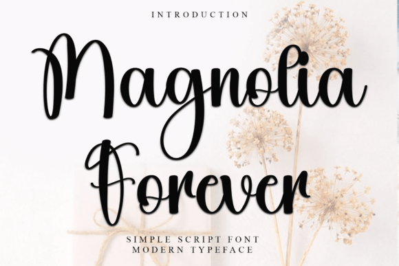 Magnolia Forever: A Font with Unique Character